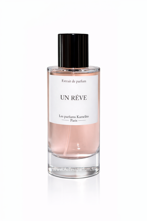 Un Rêve