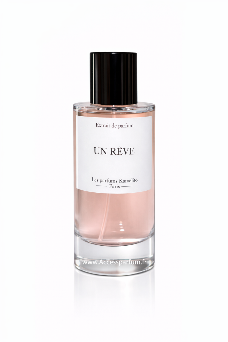 Un Rêve